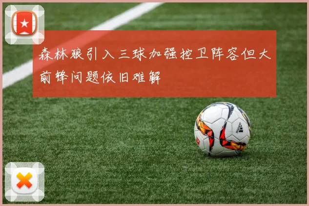 森林狼引入三球加强控卫阵容但大前锋问题依旧难解