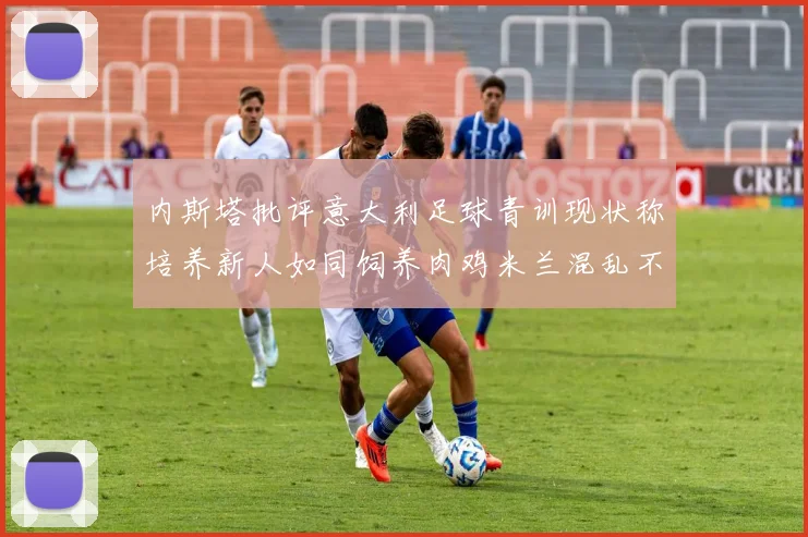 内斯塔批评意大利足球青训现状称培养新人如同饲养肉鸡米兰混乱不堪
